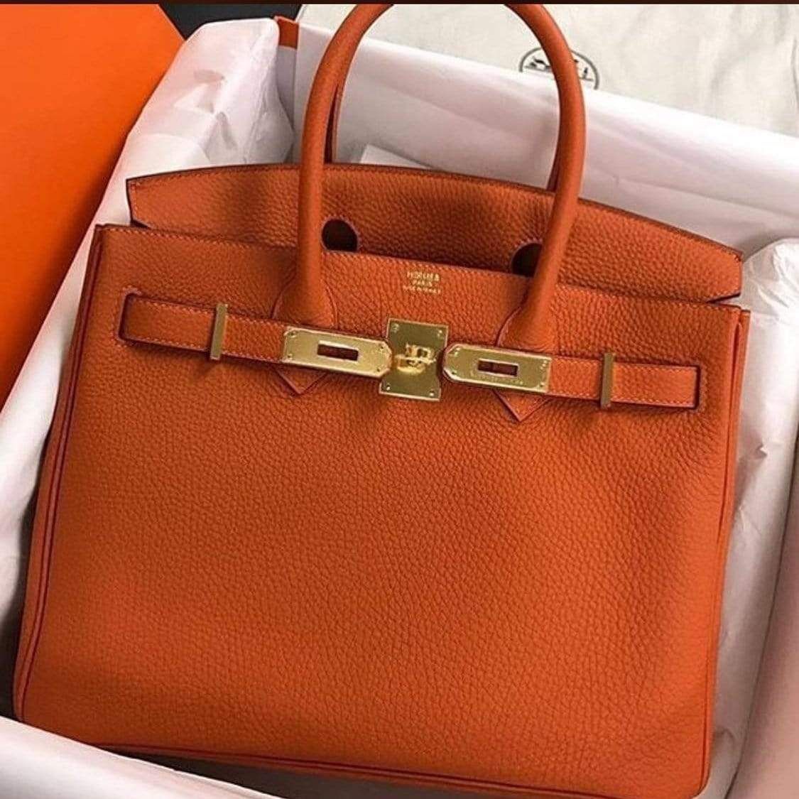 Hermes Birkin Orange Hand Bag