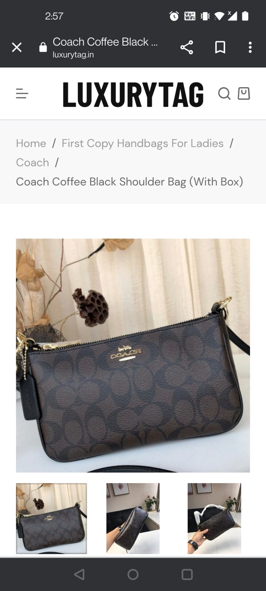 Coach Coffee Shoulder Bag (With Box) photo review