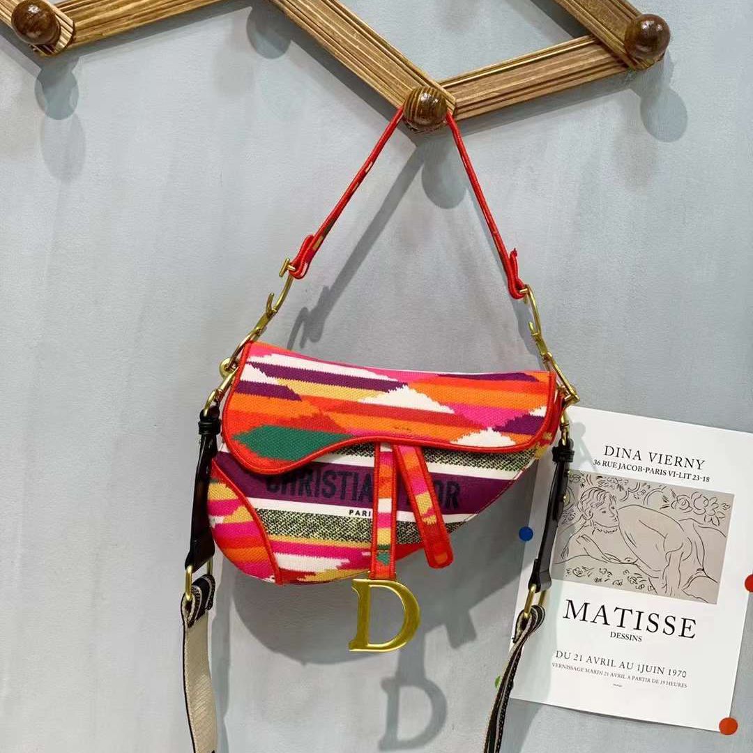Dior Multicolor Canvas Saddle Bag (With Box)