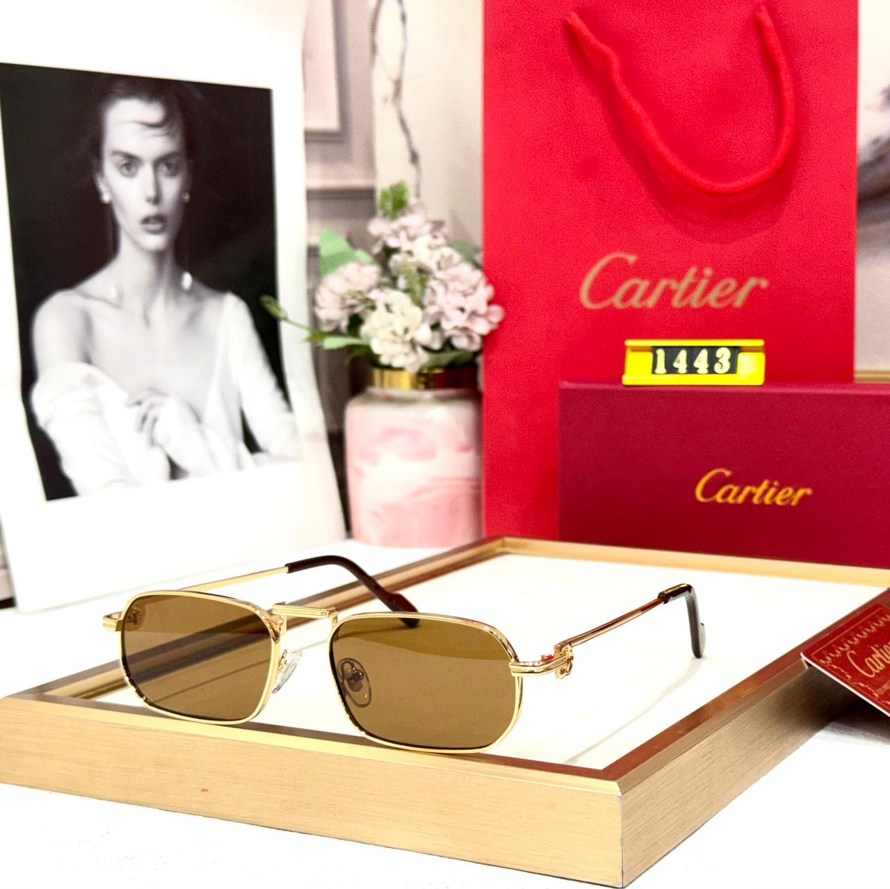 WhatsApp Image 2026-01-09 at 6.21.18 PM Cartier Gold Rectangular Sunglasses