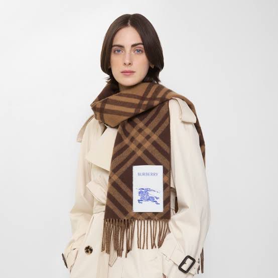 WhatsApp Image 2026-01-09 at 8.35.10 PM Burberry Symmetric Brown Unisex Muffler