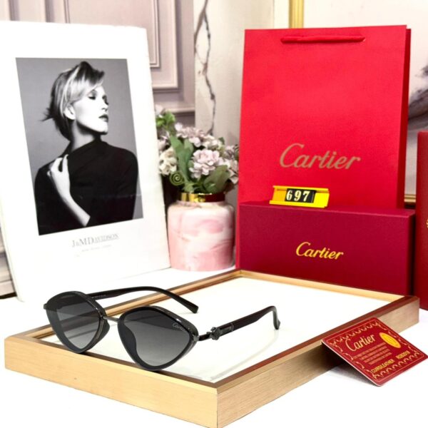 Cartier All Black Sunglass For Women