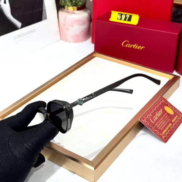 Cartier All Black Sunglass For Women