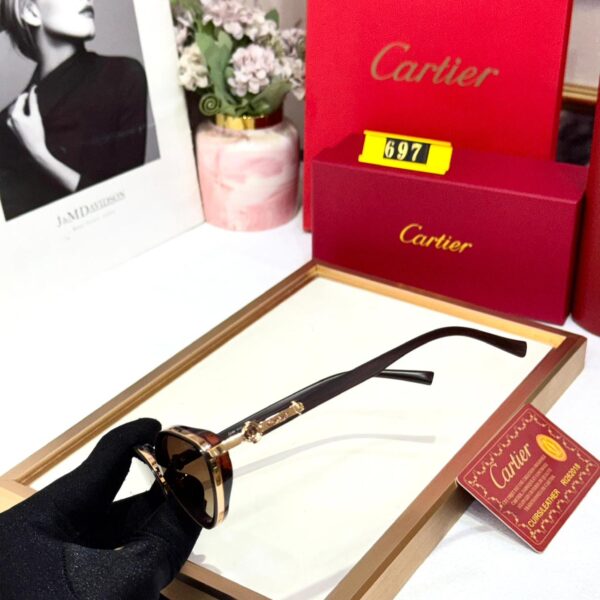 Cartier Brown Sunglass For Women